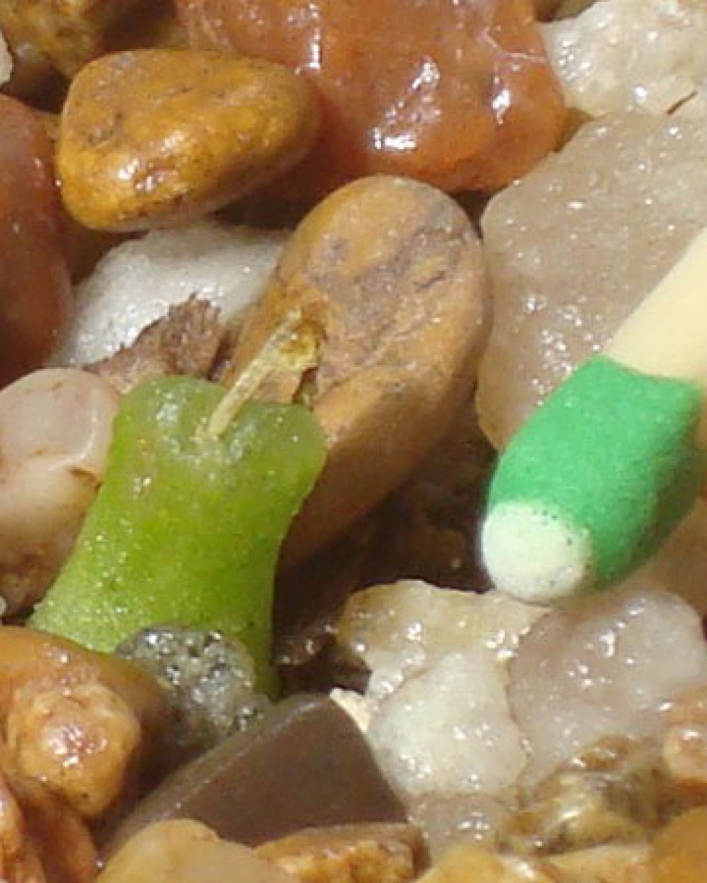 Conophytum Achabense