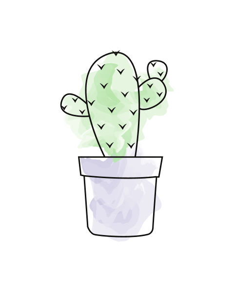 Synaptophyllum