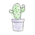 Haworthia Arachnoidea