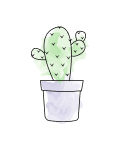 Delosperma